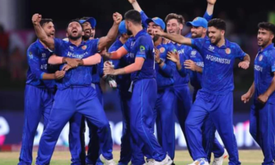 Afghanistan, Australia and Bangladesh are in contention for T20 World Cup semi-finals.