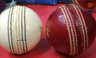 Differences Between Red and White Balls in Cricket