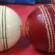 Differences Between Red and White Balls in Cricket