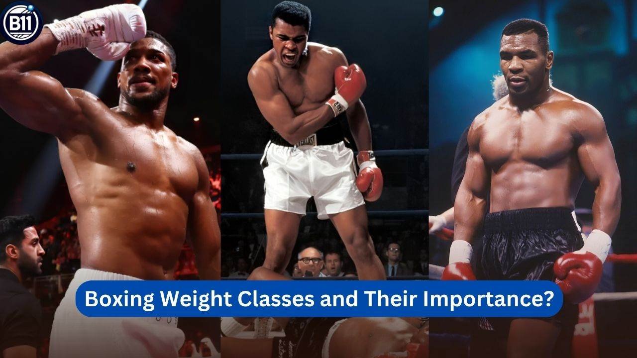 Boxing Weight Classes