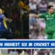 Most Wickets in T20 World Cup